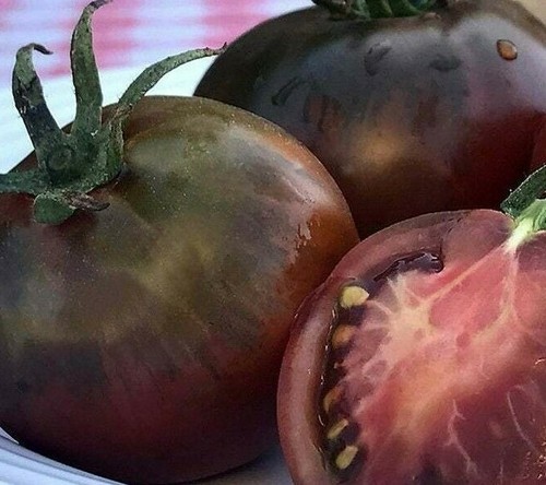 Black prince tomato - prince,